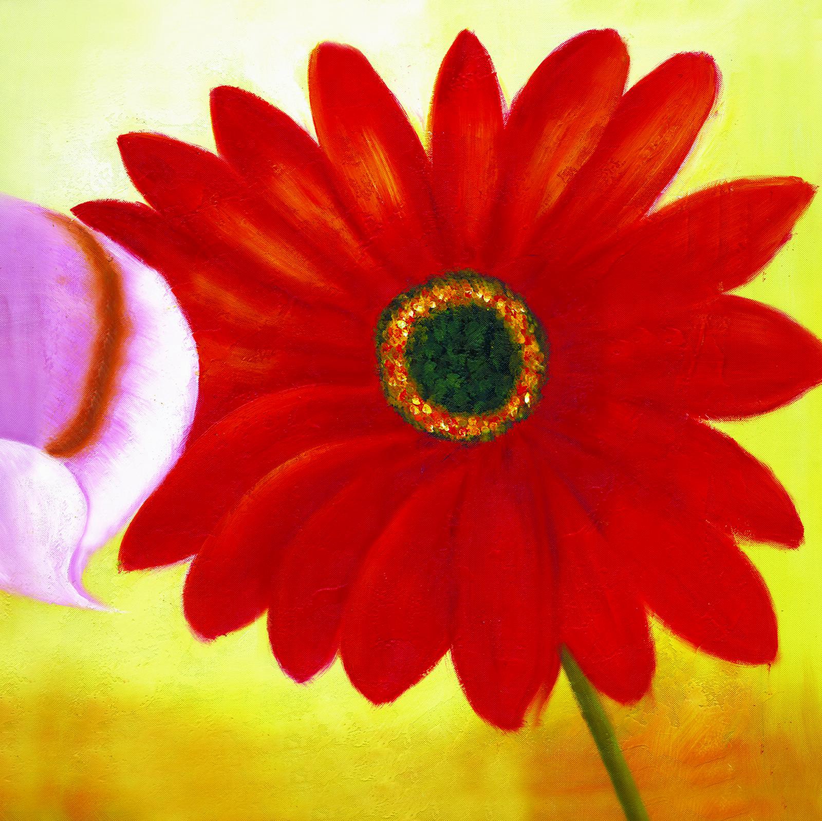 0229-a01-2363x2362px-tif-72dpi-16-0